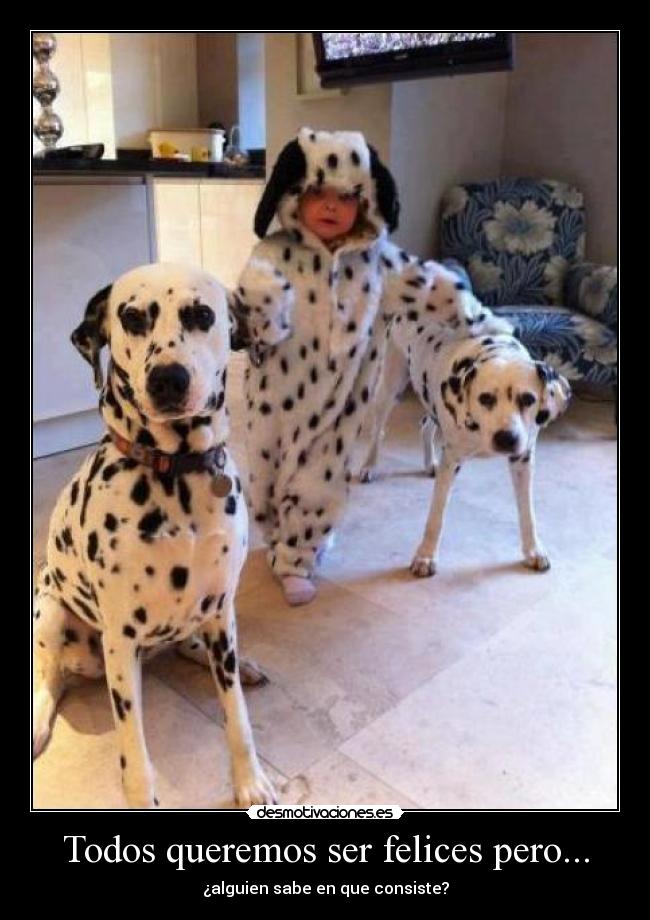 carteles txd desmotivaciones