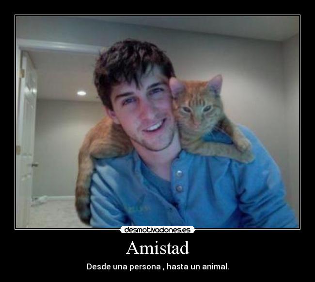 carteles amistad reyezz16 desmotivaciones