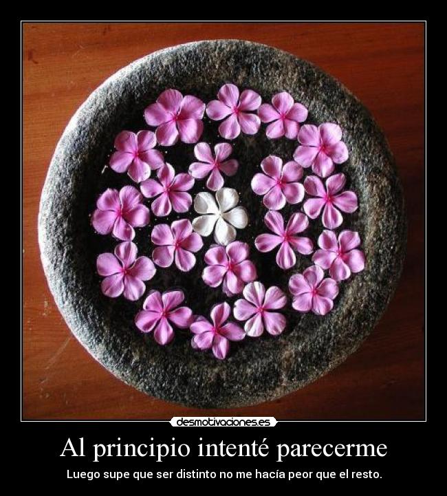 Al principio intenté parecerme - 