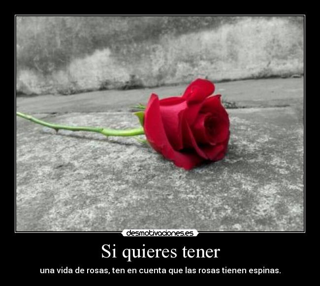 Si quieres tener - una vida de rosas, ten en cuenta que las rosas tienen espinas.