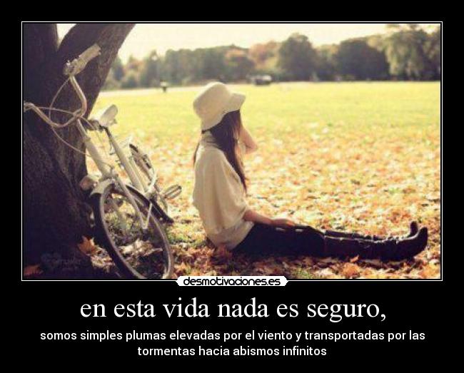 en esta vida nada es seguro, - somos simples plumas elevadas por el viento y transportadas por las
tormentas hacia abismos infinitos