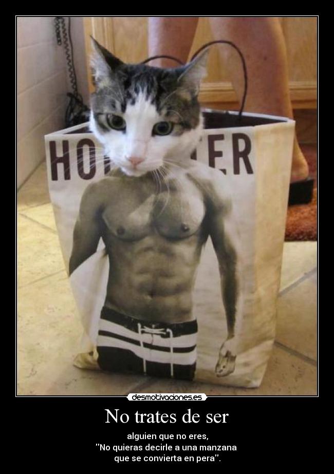 No trates de ser - alguien que no eres,
No quieras decirle a una manzana 
que se convierta en pera.