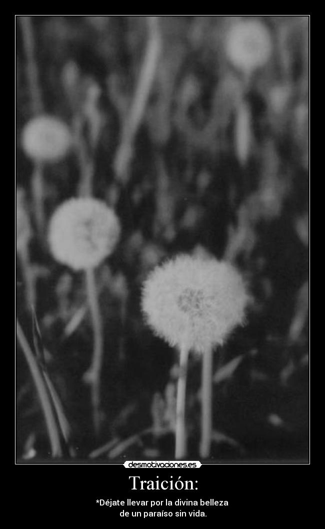 Traición: - *Déjate llevar por la divina belleza
de un paraíso sin vida.