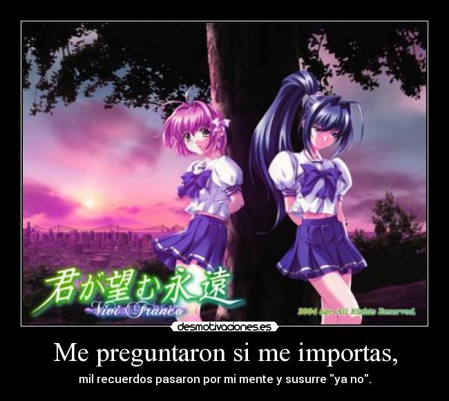 Me preguntaron si me importas, -