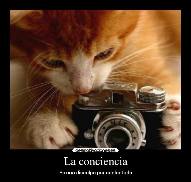 La conciencia - 