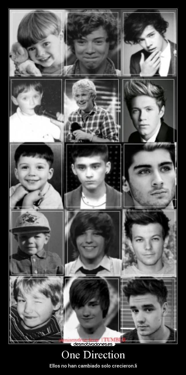 carteles lizeth rocha desmotivaciones