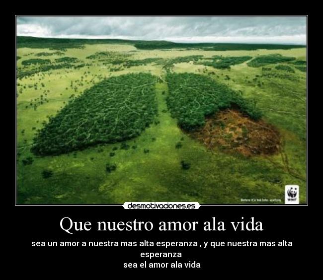 Que nuestro amor ala vida - sea un amor a nuestra mas alta esperanza , y que nuestra mas alta esperanza
sea el amor ala vida