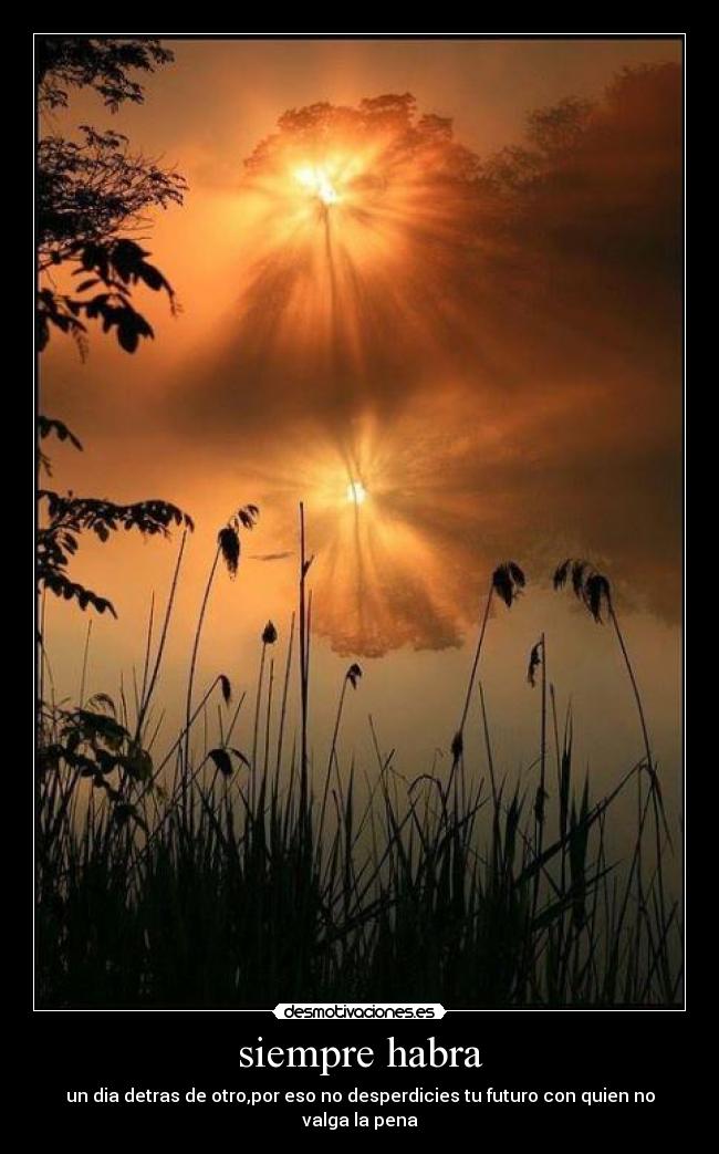 siempre habra - 