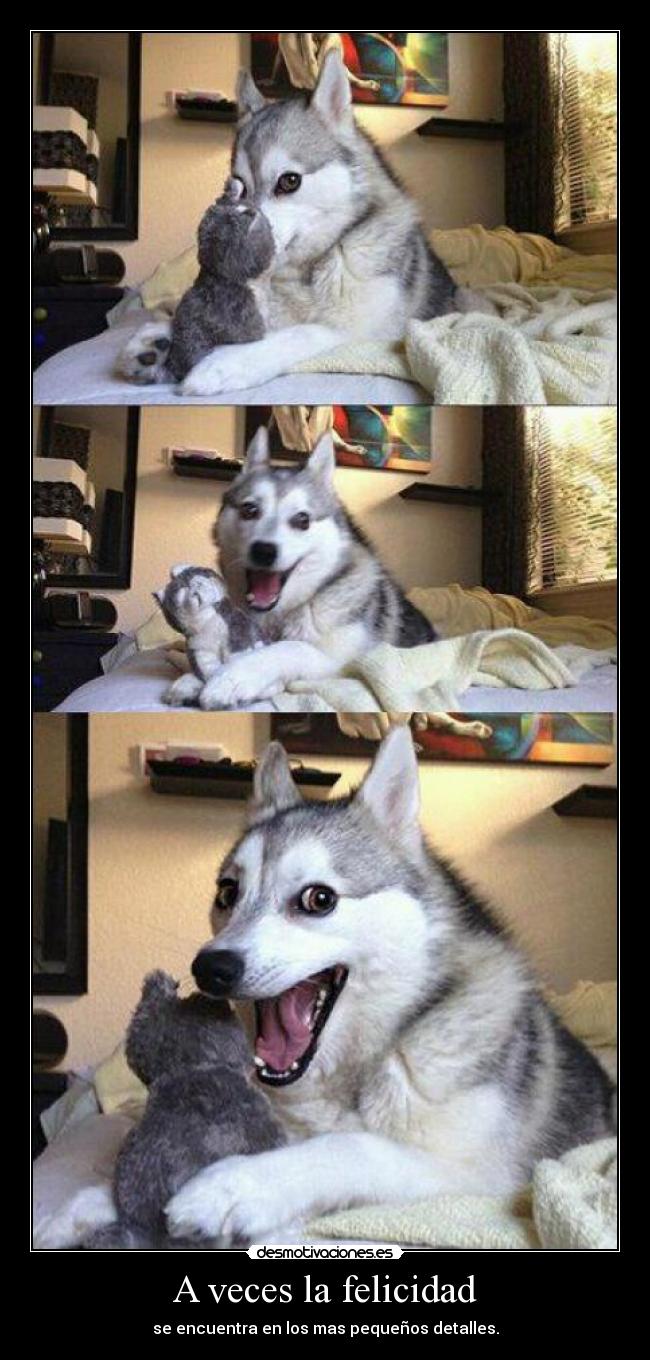 A veces la felicidad - 