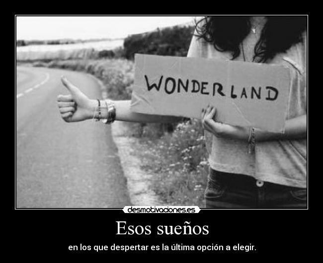 carteles exl primer cartel desmotivaciones