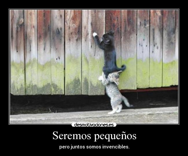 Seremos pequeños -