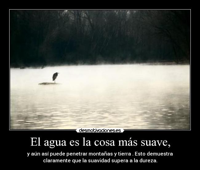 El agua es la cosa más suave, - y aún así puede penetrar montañas y tierra . Esto demuestra
claramente que la suavidad supera a la dureza.