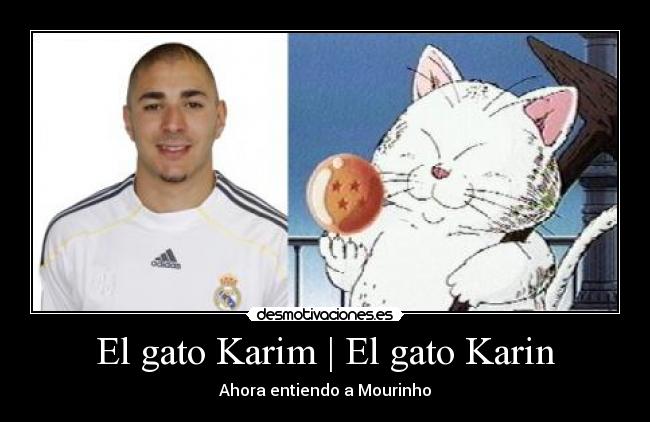 El gato Karim | El gato Karin - Ahora entiendo a Mourinho