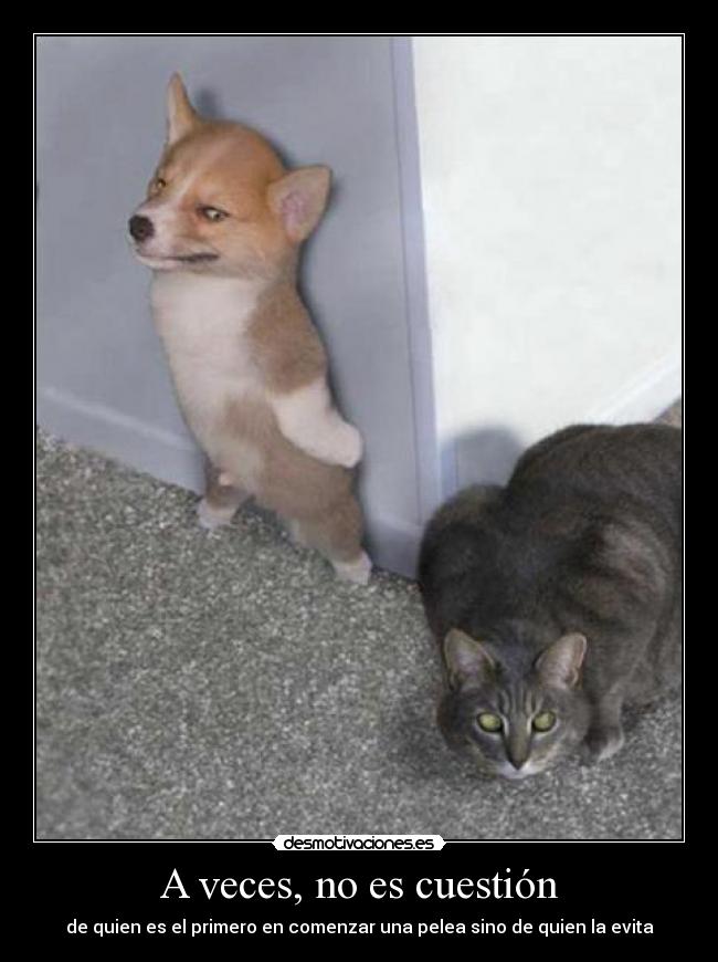 carteles pelea comenzar evitar dilema desmotivaciones