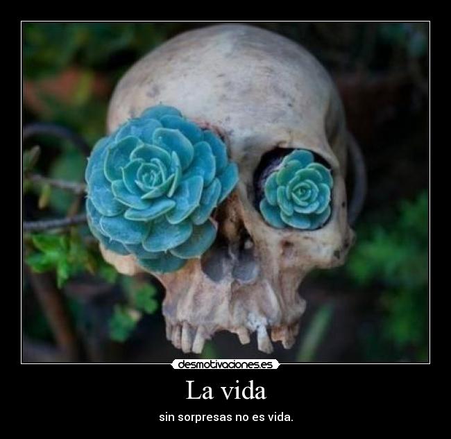La vida - sin sorpresas no es vida.