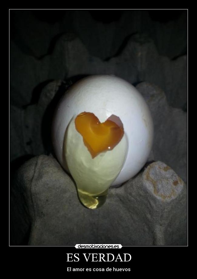 ES VERDAD - 
