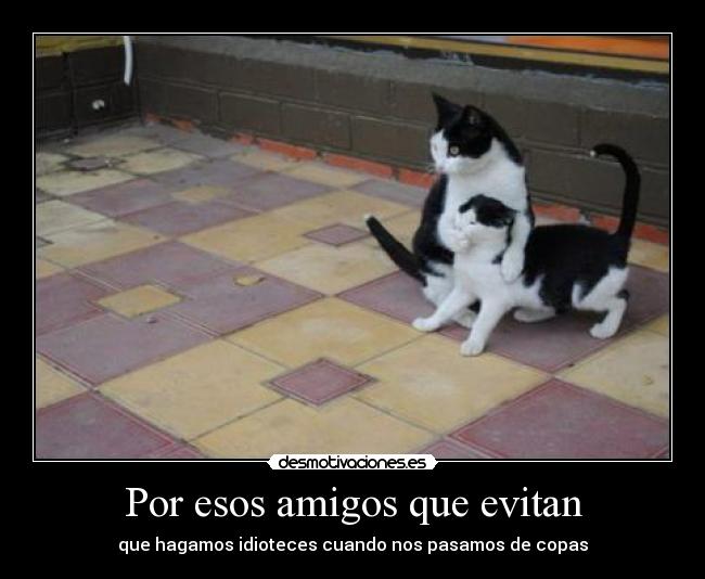 carteles amigos vfvfv desmotivaciones