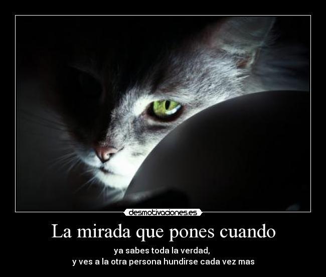 La mirada que pones cuando - 