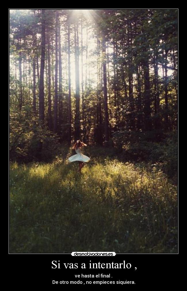 Si vas a intentarlo , - ve hasta el final .
De otro modo , no empieces siquiera.