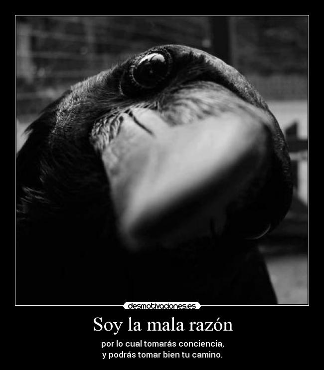 Soy la mala razón - por lo cual tomarás conciencia,
y podrás tomar bien tu camino.