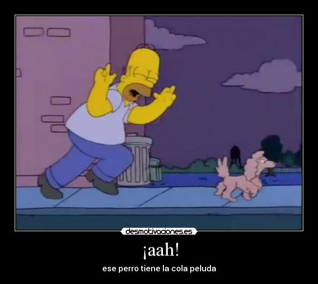 ¡aah! - ese perro tiene la cola peluda