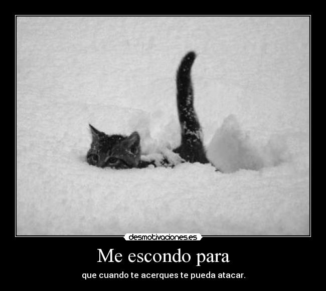 Me escondo para -