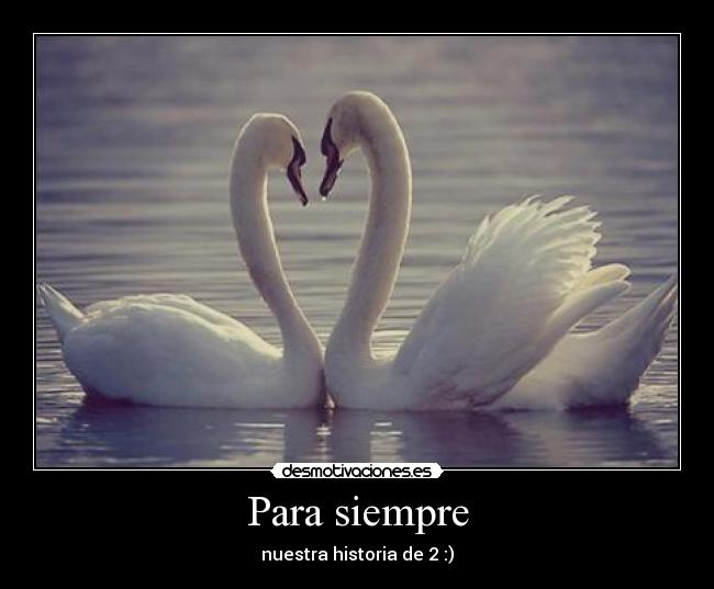 Para siempre - nuestra historia de 2 :)
