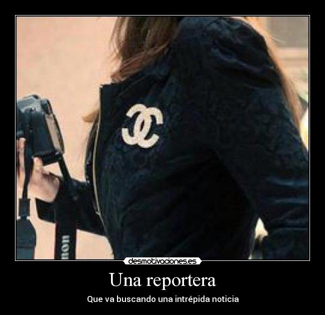 carteles reportera desmotivaciones