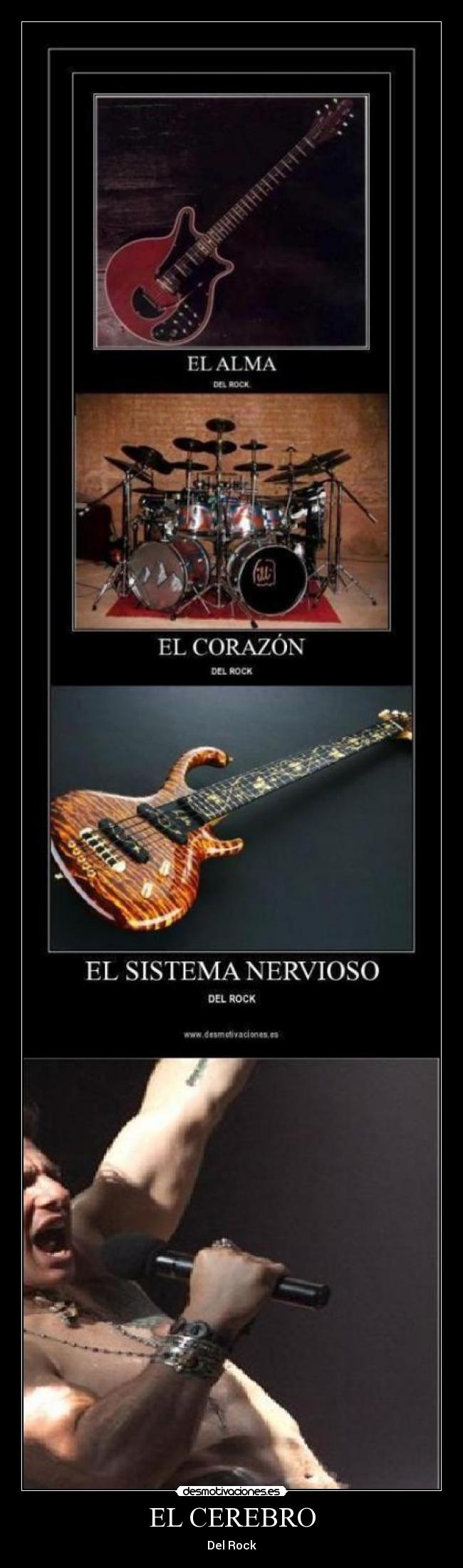 EL CEREBRO - 
