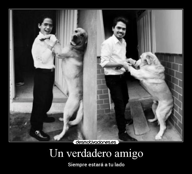 Un verdadero amigo - Siempre estará a tu lado