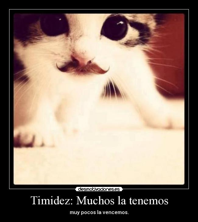 Timidez: Muchos la tenemos -