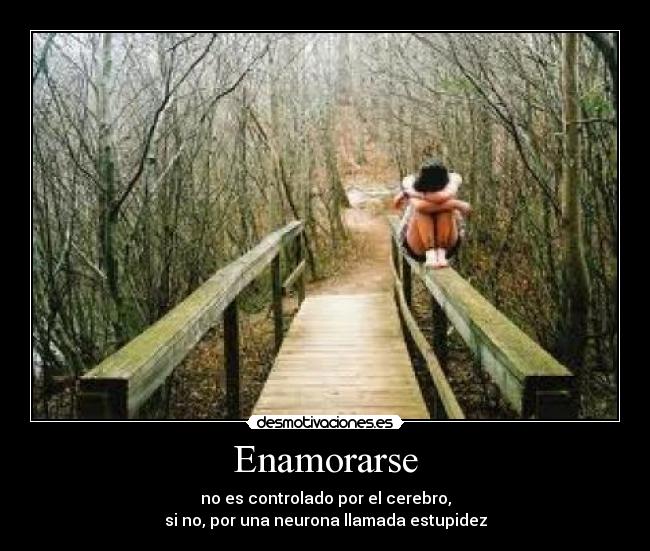 Enamorarse - no es controlado por el cerebro,
si no, por una neurona llamada estupidez