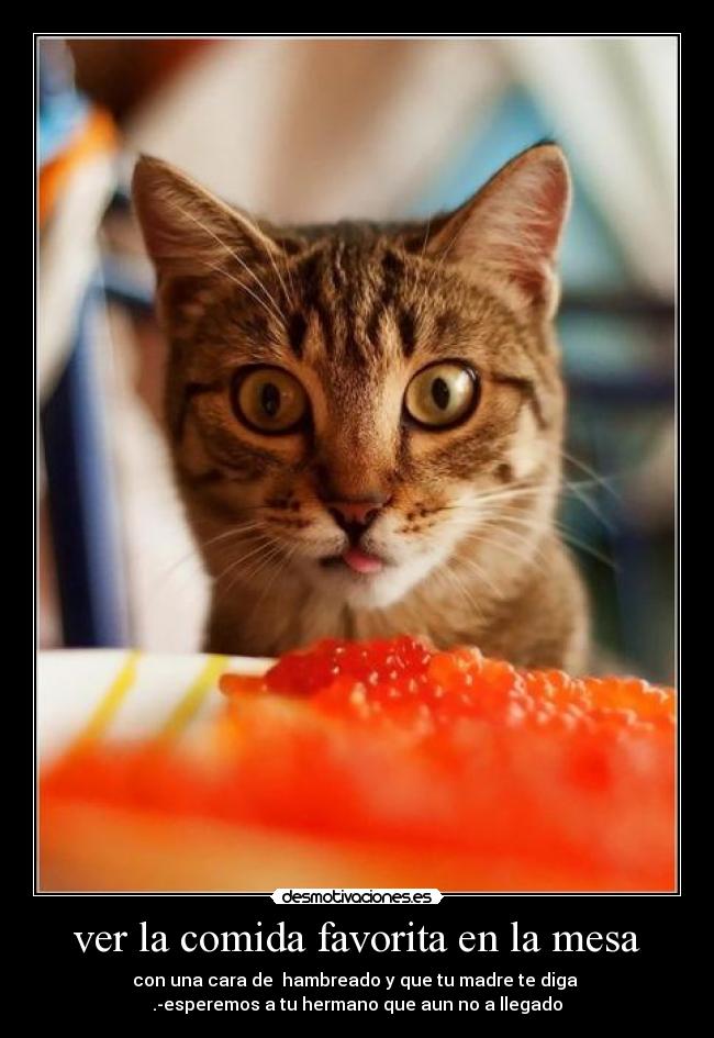ver la comida favorita en la mesa - con una cara de  hambreado y que tu madre te diga 
.-esperemos a tu hermano que aun no a llegado