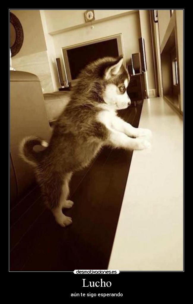 Lucho - aún te sigo esperando