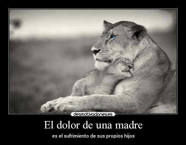 El dolor de una madre - 