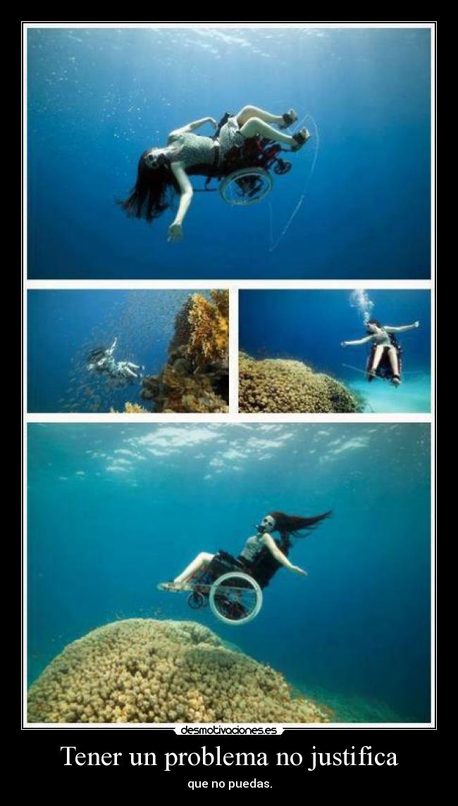 carteles cerditopp desmotivaciones