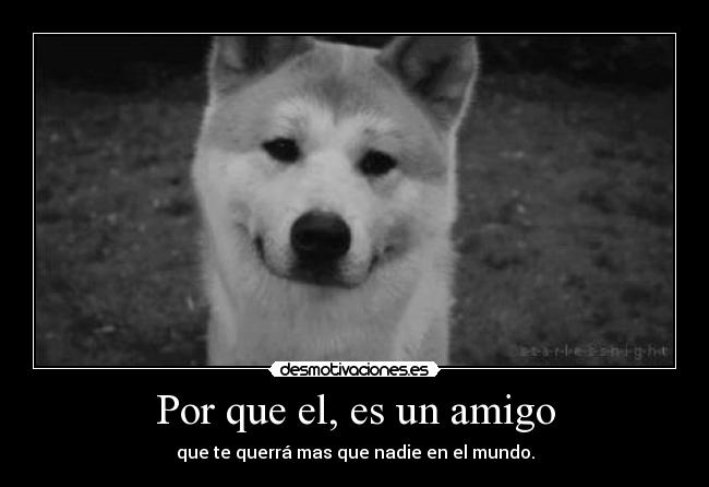 Por que el, es un amigo - que te querrá mas que nadie en el mundo.