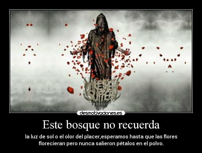 Este bosque no recuerda - la luz de sol o el olor del placer,esperamos hasta que las flores
florecieran pero nunca salieron pétalos en el polvo.