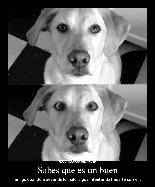 Sabes que es un buen -