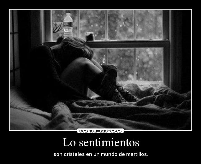 Lo sentimientos - 