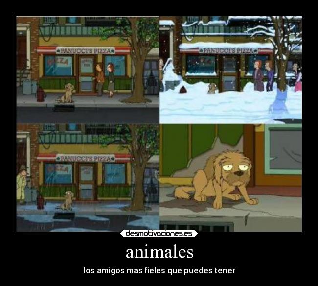animales - los amigos mas fieles que puedes tener