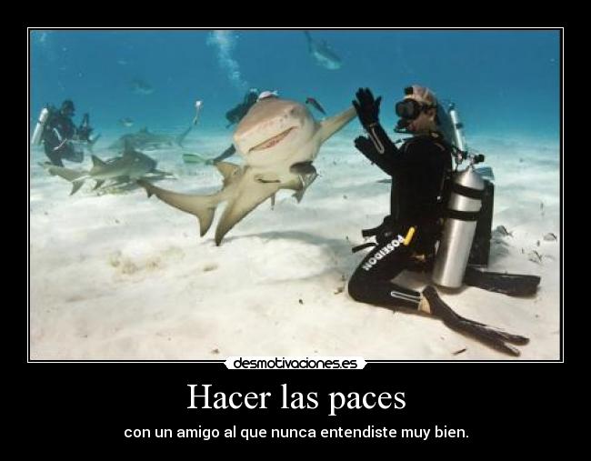 Hacer las paces - con un amigo al que nunca entendiste muy bien.