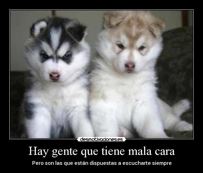 HAY TIENE hay tiene: