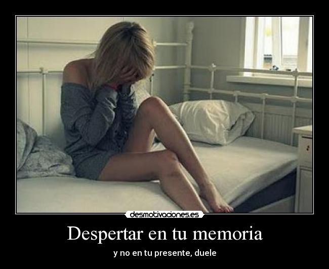 carteles desamor desmotivaciones