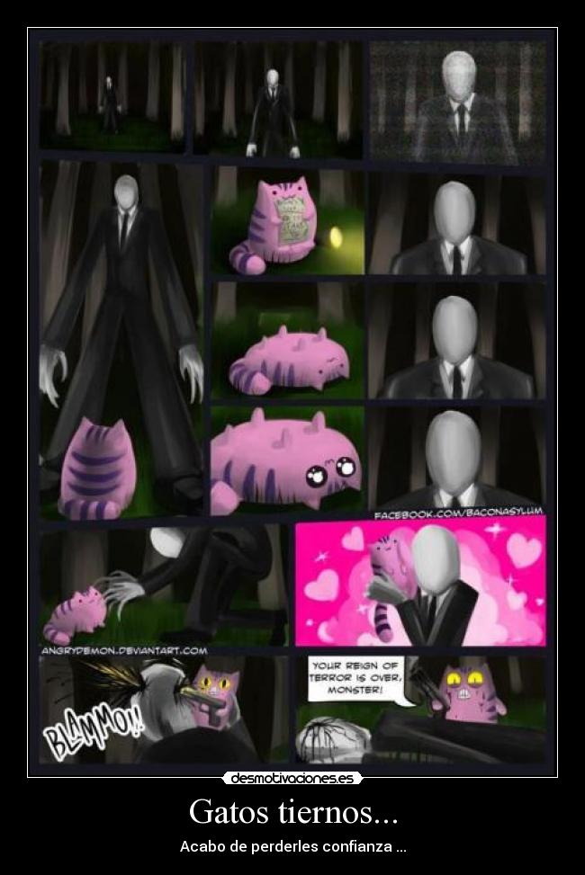 Gatos tiernos... - Acabo de perderles confianza ...