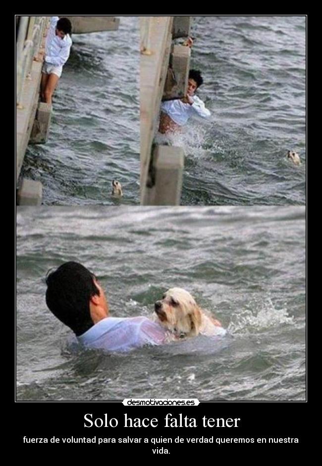 Solo hace falta tener -