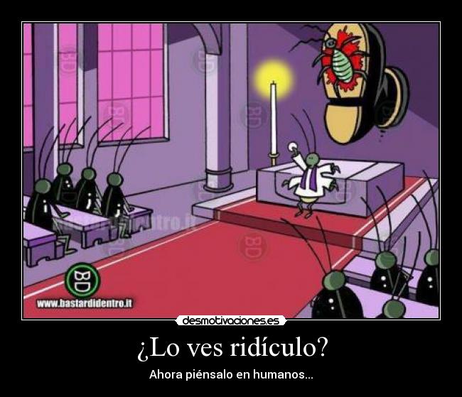¿Lo ves ridículo? - Ahora piénsalo en humanos...