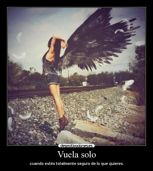Vuela solo - 