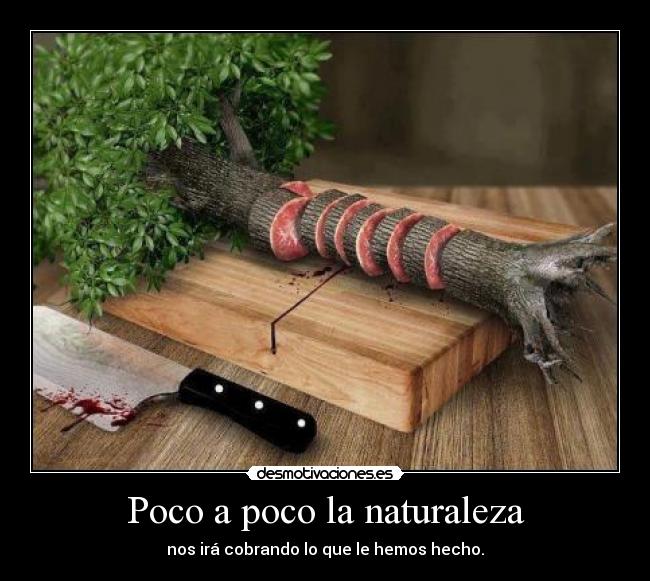 Poco a poco la naturaleza - nos irá cobrando lo que le hemos hecho.