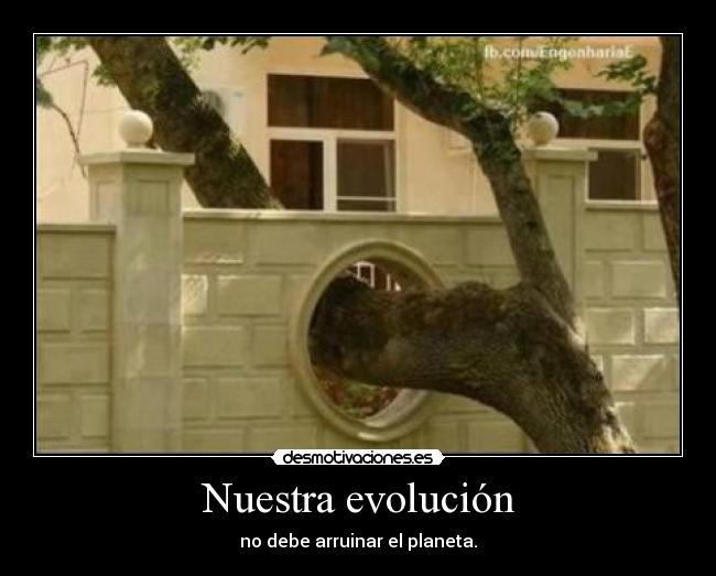 Nuestra evolución - 
